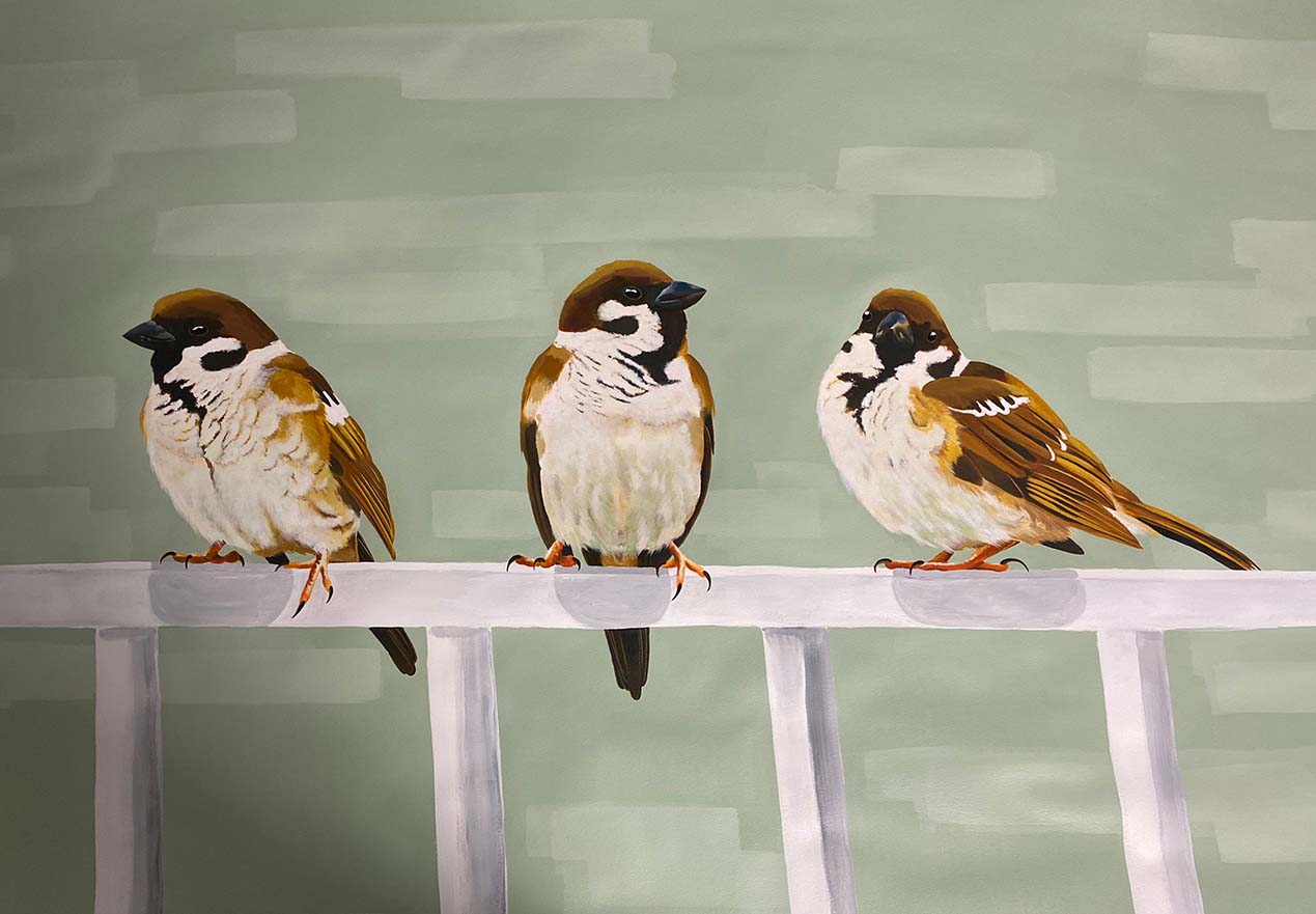 Three sparrows sitting next to each other on a ledge.