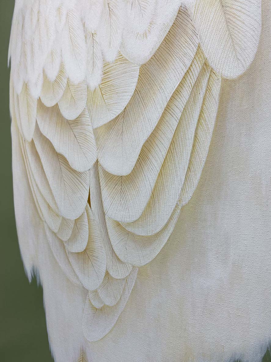 White sparrow closeup.