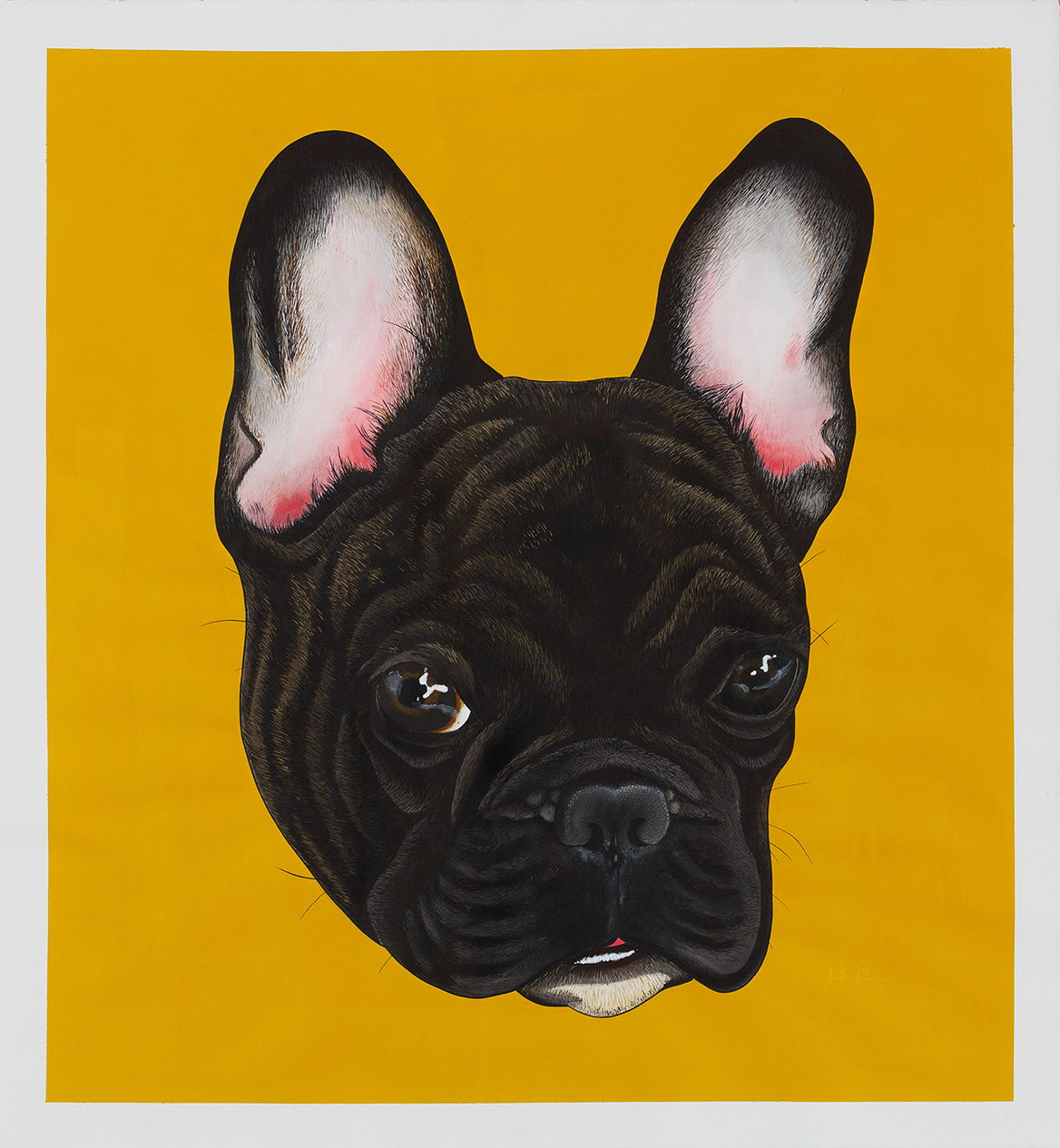 Painting French bulldog poster on yellow background.